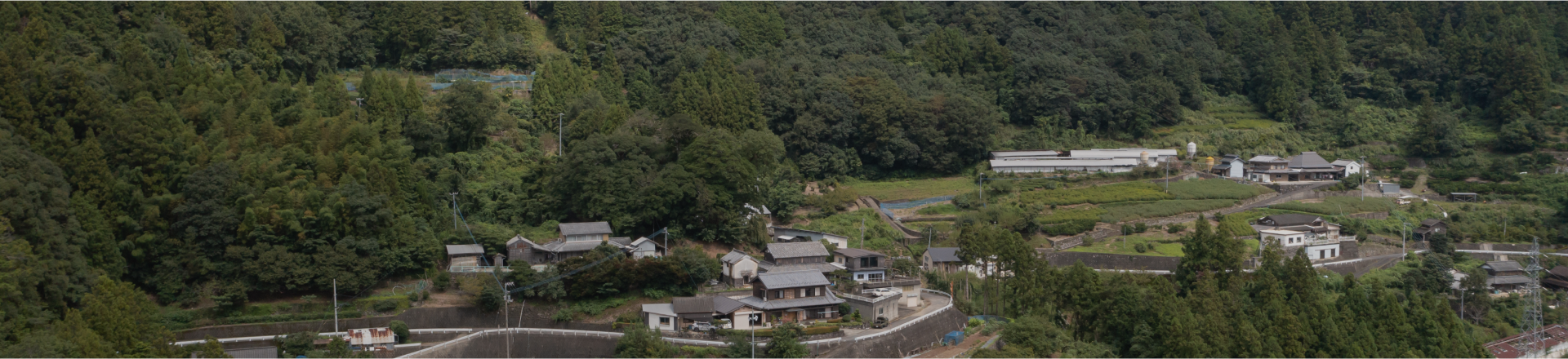 神山町の風景